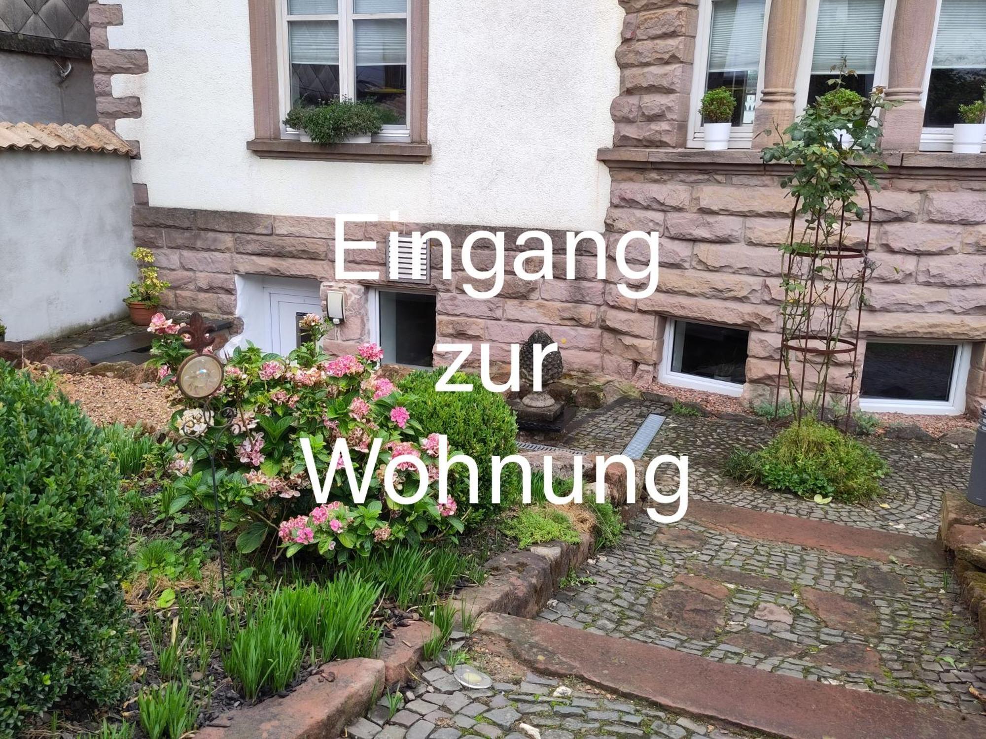 Casa Viva - Separate, Ruhig Gelegene Wohnung Quierschied Kültér fotó